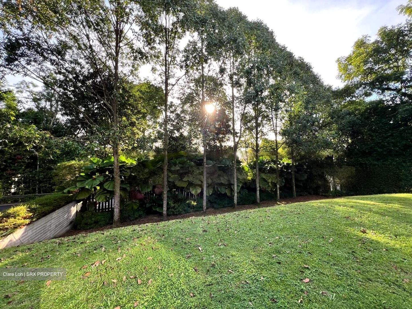 Swiss Club Road (D11), Detached #455288381